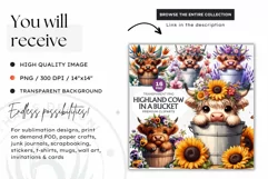 Highland calf Clipart, Highland cow in a bucket, Spring png Product Image 2