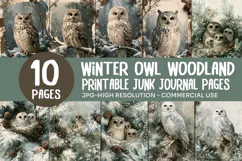 Winter Owl Woodland Junk Journal Pages Product Image 1