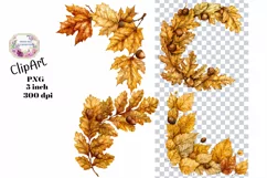 Fall, Autumn, Leaves, Ephemera, PNG, watercolor, Clipart Product Image 1