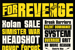 VORKA - Headline Display Typeface Product Image 21