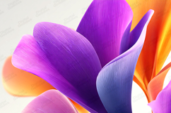 Textured Abstract Petals Background Purple Orange Closeup Product Image 1