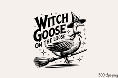 WITCH GOOSE ON THE LOOSE PNG, Vintage Silly Goose Sublimatio Product Image 2
