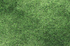 Realistic Green Grass Texture Background JPG File Product Image 1
