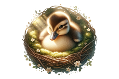 Cute Duck Clipart - PNG File Product Image 1