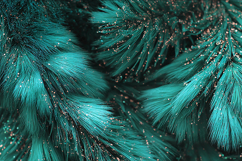 Teal Fur Texture with Gold Glitter Dust Background Product Image 1