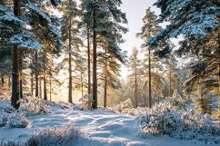 A serene winter landscape with snow trees &amp; peaceful forest Product Image 1