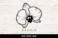 Orchid Flower SVG Product Image 1