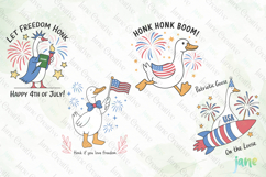 4th of July Silly Goose SVG PNG Product Image 1