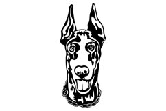 Doberman dog/Dog Svg/Png/Jpg/Ai/Vector purebred breed/Pet Product Image 2