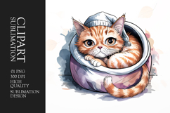 Grumpy Cat watercolor clipart sublimation Product Image 1