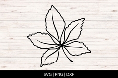 Hand Drawn Autumn Leaf SVG Product Image 1