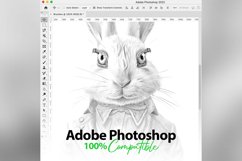 60 Procreate Wonderland Stamp Brushes Product Image 9