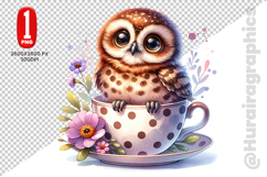 Cute Owl Clipart - PNG File Product Image 1