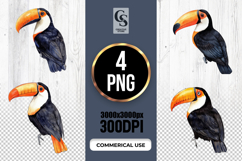 Watercolor Toucan Bird Clipart Sublimation PNG Product Image 1
