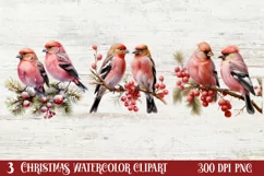 Christmas Birds Clipart , Christmas Birds Clipart Product Image 2