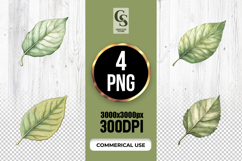 Watercolor Green Leaf Botanical Clipart Sublimation PNG Product Image 2