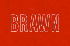 Brawn Outline Display Font Product Image 1