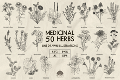 Medicinal herbs Svg Png Eps Product Image 1