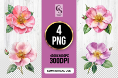 Wild Rose Flower Sublimation Clipart PNG Product Image 1