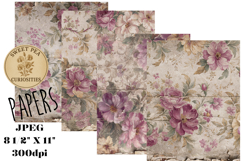 Shabby Chic, Papers, Junk Journal Product Image 1