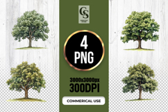 Watercolor Tree Illustration Clipart Sublimation PNG Product Image 1