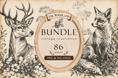 Woodland Ink Illustration Bundle Product Image 1