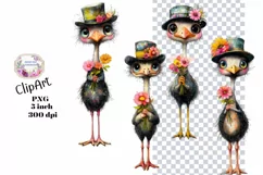 Birds, Ostrich, Ephemera, PNG, watercolor, Clipart Product Image 1