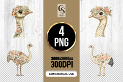 Watercolor Floral Ostrich Clipart Sublimation PNG Product Image 1