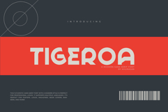 Tigeroa Product Image 1