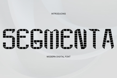 Segmenta Product Image 1