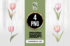 Pink Tulip Watercolor Clipart Sublimation PNG Product Image 1