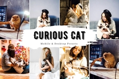 10 Curious Cat Mobile Lightroom Presets Product Image 1