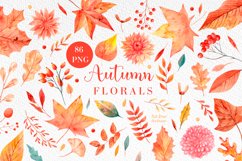 Fall watercolor leaves, Autumn florals elements, Leaves png Product Image 1