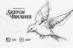 Sketch Brushes for Affinity Product Image 1