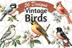 Vintage Song Bird Clipart PNG, Botanical Bird Art Clip Art Product Image 1