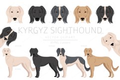 Kyrgyz Sighthound clipart Product Image 1