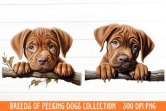 Breeds Of Peeking Dogs Collection Clipart Product Image 2