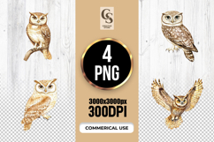 Watercolor Owl Bird Illustration Clipart Sublimation PNG Product Image 1