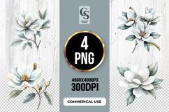 White Magnolia Watercolor Floral Clipart PNG Product Image 1