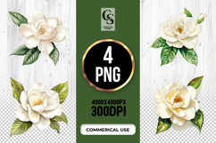 White Magnolia Flower Clipart Sublimation PNG Product Image 1