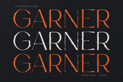 Garner Organic Handcrafted Serif Font Product Image 1