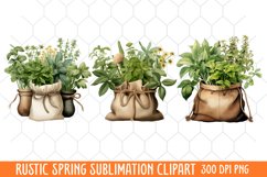 Rustic Spring Clipart, Vintage Spring Clipart Product Image 1