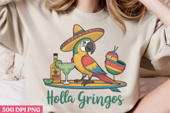 Hola Gringos PNG, Cinco De Mayo Sublimation PNG Product Image 2