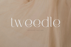 Tweedle Delicate Elegant Serif Font Product Image 1