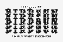 Birdsun Varsity Stacked - Bold Athletic Block Font Product Image 1