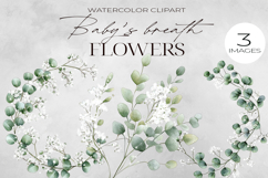 Baby’s Breath Clipart Pack| Floral Watercolor PNG. Product Image 3