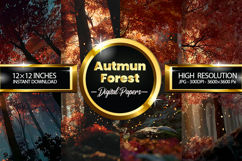 Autmun Forest Digital Papers - 04 Variations Product Image 1