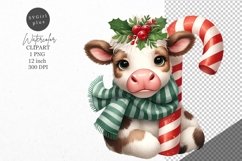 Christmas clipart, Christmas cow clipart, Cow clipart Product Image 1