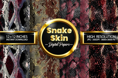 Snake Skin Digital Papers - 04 Variations Product Image 1