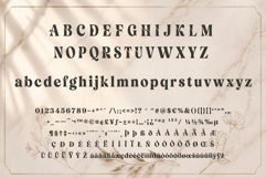 Velour Delamio Font Product Image 4